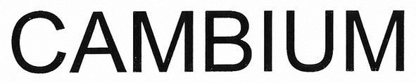cambium