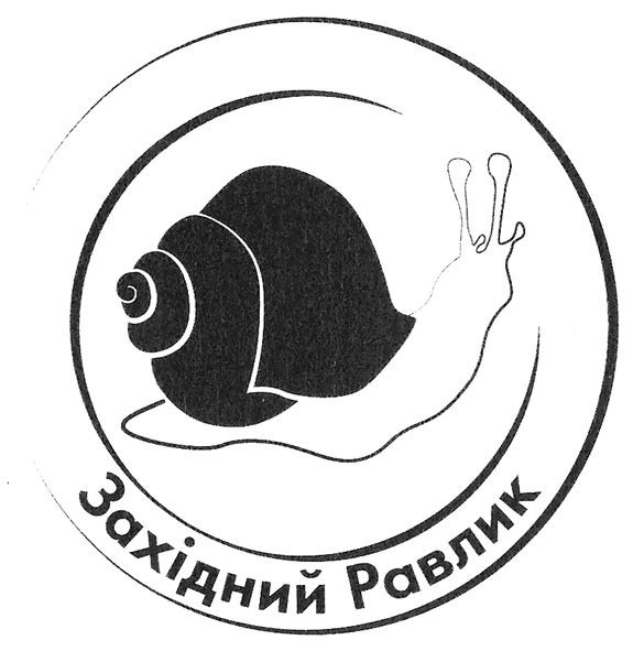 західний равлик