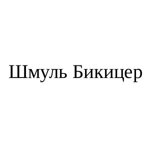 шмуль бикицер