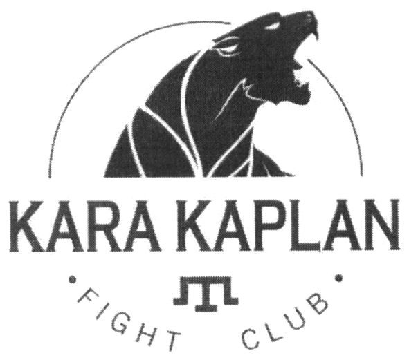 kara kaplan