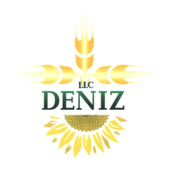 llc deniz