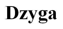 dzyga