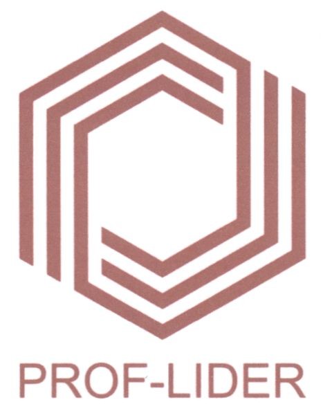 prof-lider