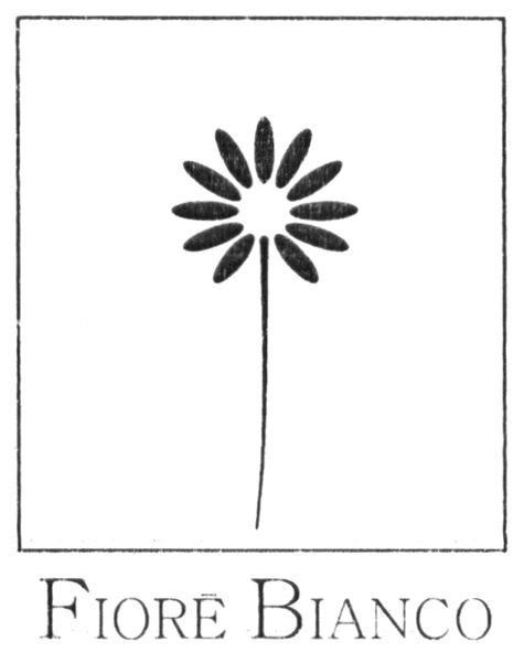 fiore bianco