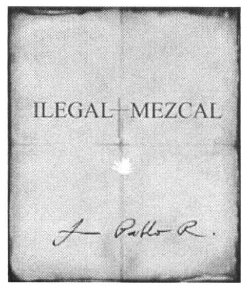 ilegal-mezcal