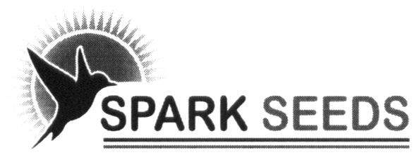 spark seeds