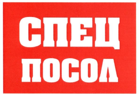 спец посол