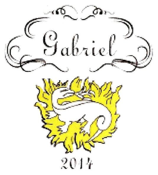 gabriel 2014