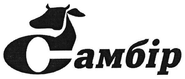 самбір