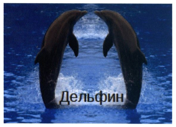 дельфин