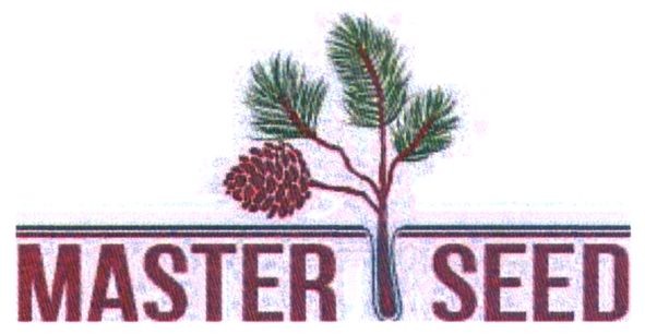 master seed