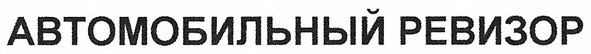 автомобильный ревизор