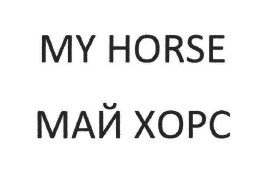my horse