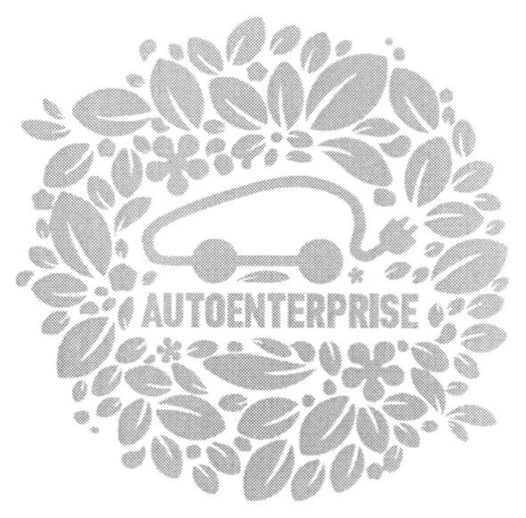 auto enter prise