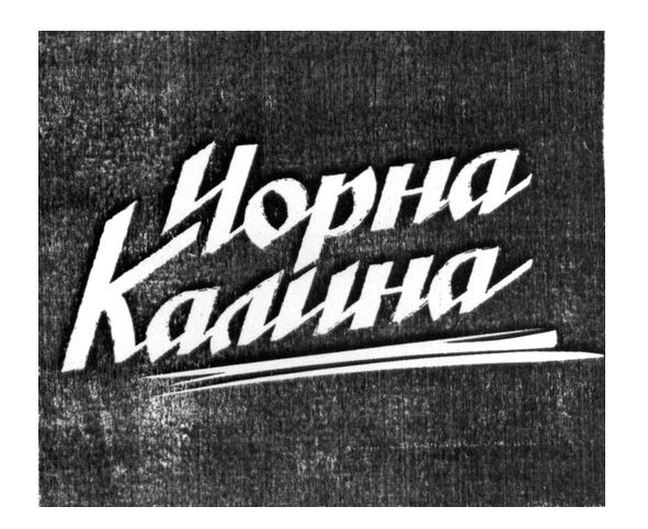 чорна калина