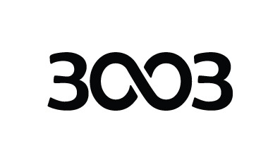 3003