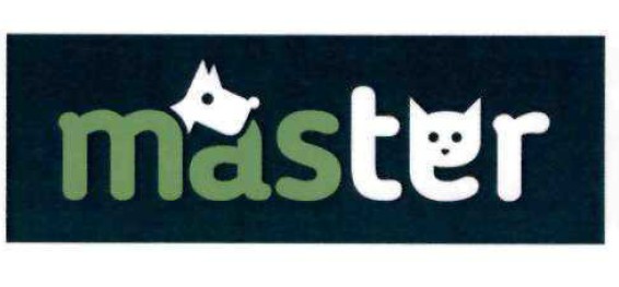 master