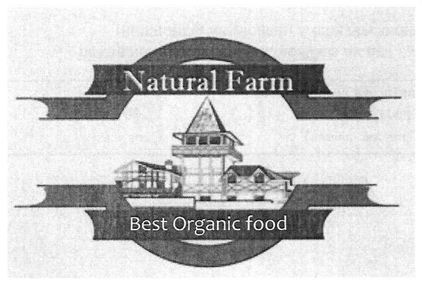 best organic food