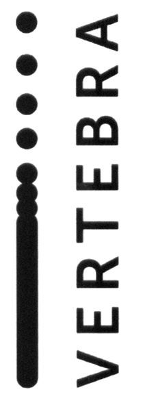 vertebra