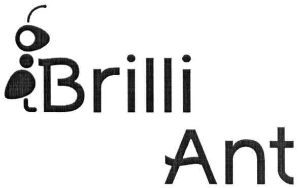 brilli ant