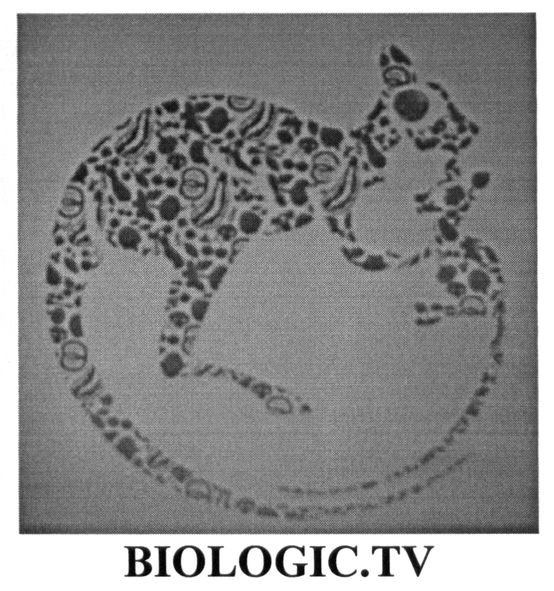 biologic.tv
