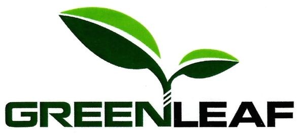 green leaf