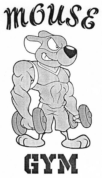 mouse gym