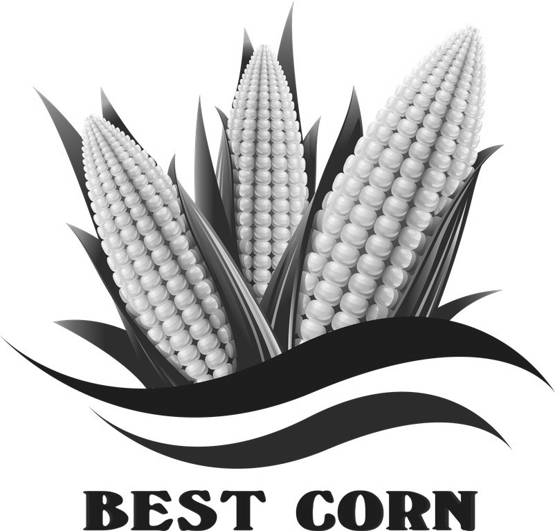 best corn