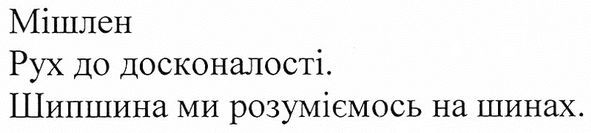 мішлен рух до досконалості. шипшина ми розуміємось на шинах.