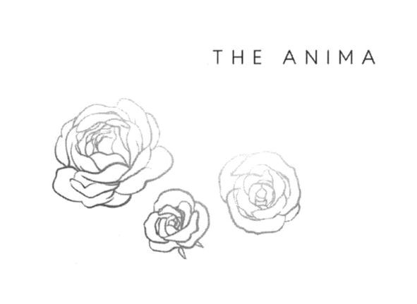 the anima