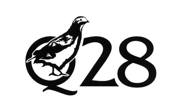 q28