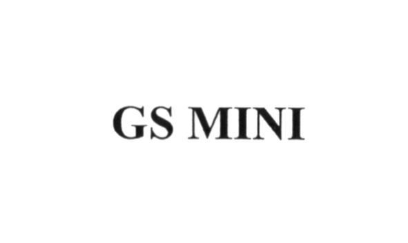 gs mini