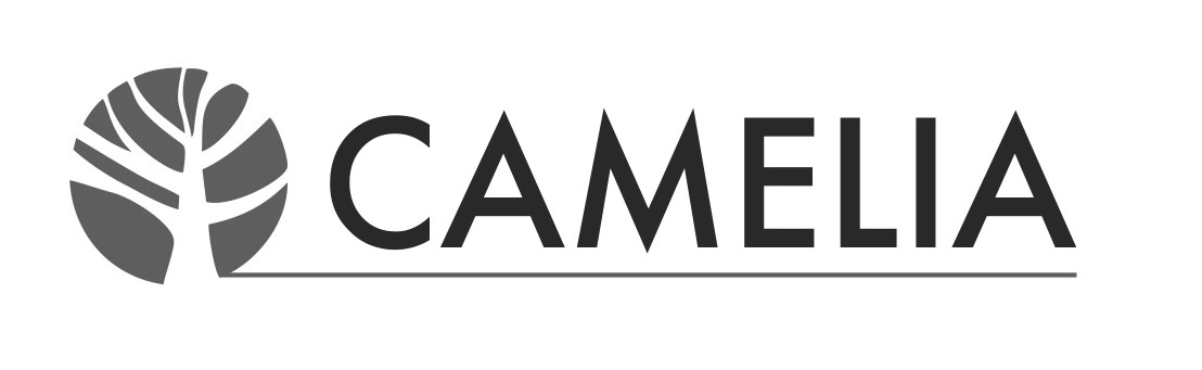 camelia