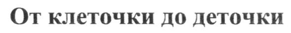 от клеточки до деточки