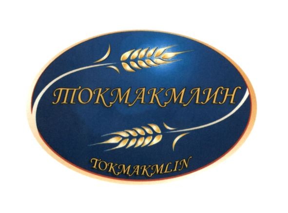 tokmakmlin