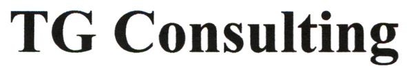 tg consulting
