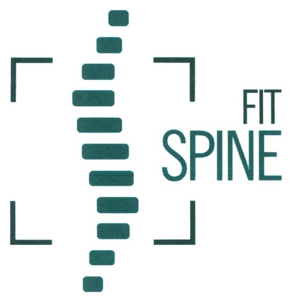 fit spine
