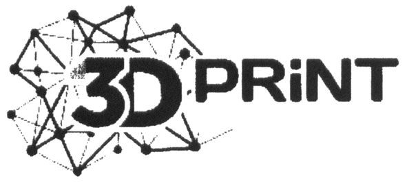 3d print