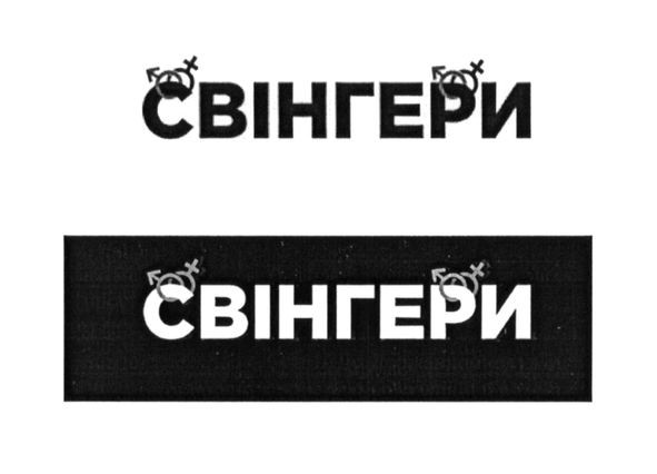 свінгери