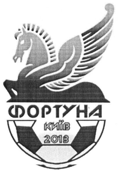 фортуна київ 2013