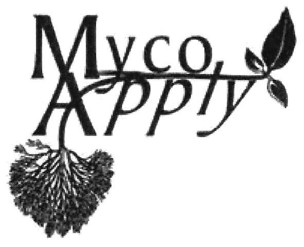 мусо арріу