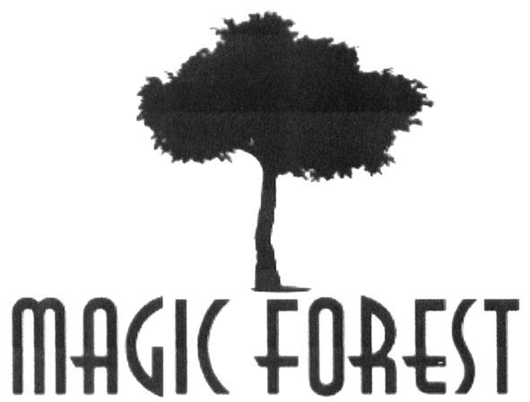 magic forest