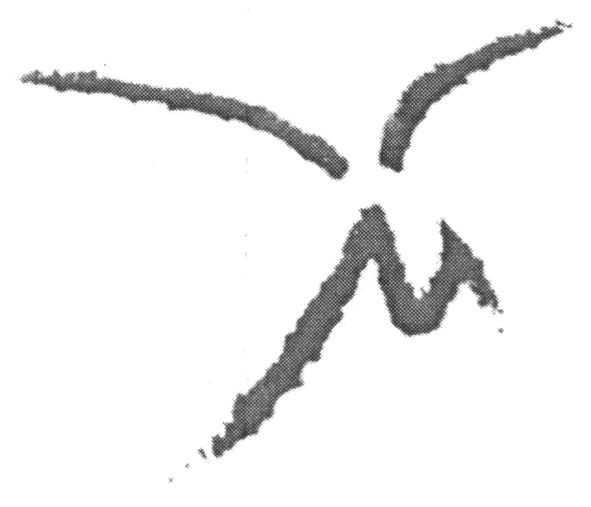 vm