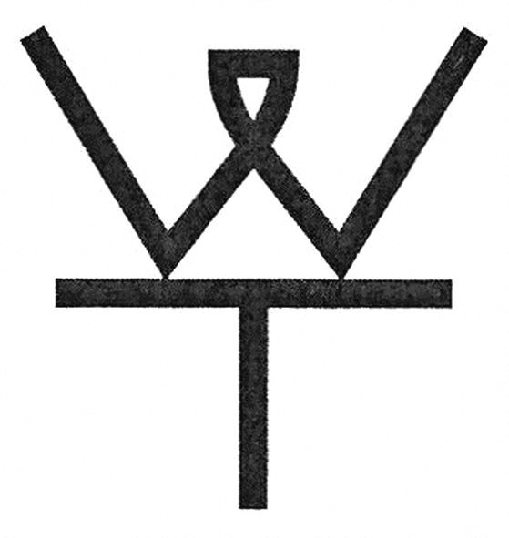 wt