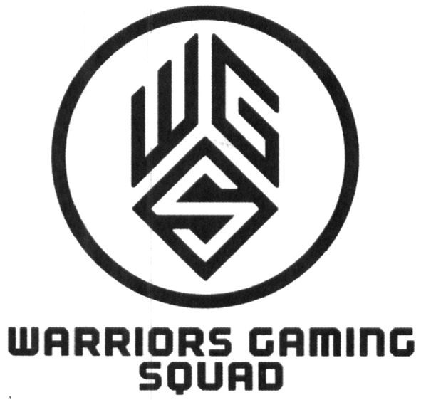 warriors gaming squad