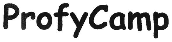 profy camp