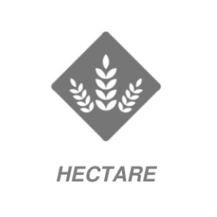 hectare