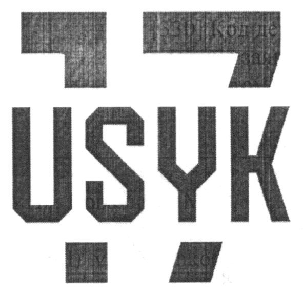 usyk 17