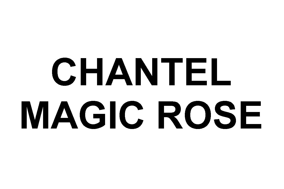 chantel magic rose