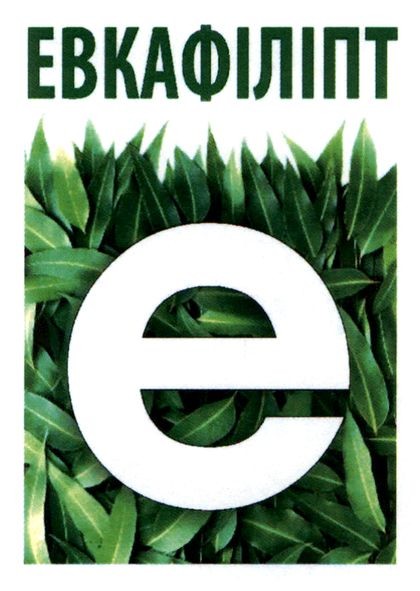 евкафіліпт